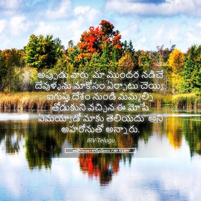 Picture 05 - అపొస్తలుల కార్యములు 7:40 TELIRV - అప్పుడు వారు ‘మా - Bible Verse Picture