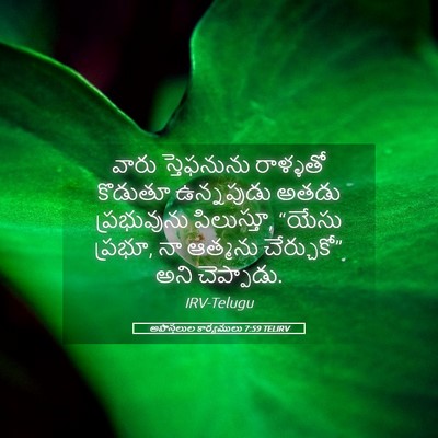 Picture 05 - అపొస్తలుల కార్యములు 7:59 TELIRV - వారు స్తెఫనును - Bible Verse Picture