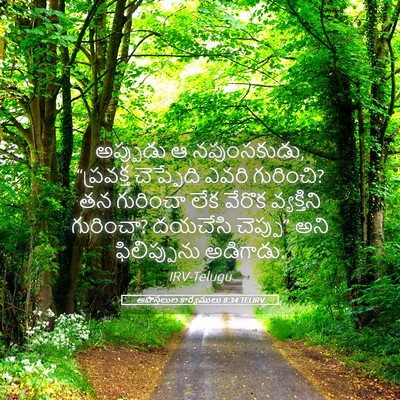 Picture 05 - అపొస్తలుల కార్యములు 8:34 TELIRV - అప్పుడు ఆ - Bible Verse Picture