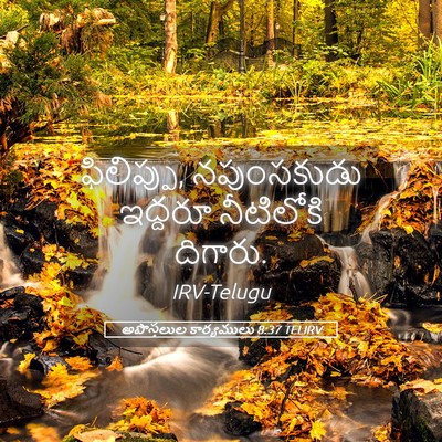 Picture 05 - అపొస్తలుల కార్యములు 8:37 TELIRV - ఫిలిప్పు, - Bible Verse Picture