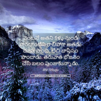 Picture 05 - అపొస్తలుల కార్యములు 9:18 TELIRV - వెంటనే అతని కళ్ళ - Bible Verse Picture