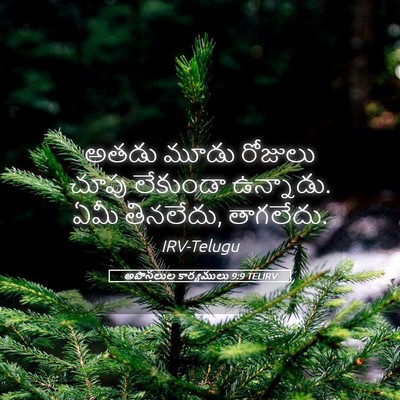 Picture 05 - అపొస్తలుల కార్యములు 9:9 TELIRV - అతడు మూడు రోజులు - Bible Verse Picture