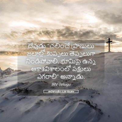Picture 05 - ఆదికాండం 1:20 TELIRV - దేవుడు “చలించే - Bible Verse Picture