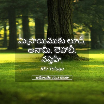 Picture 05 - ఆదికాండం 10:13 TELIRV - మిస్రాయిముకు - Bible Verse Picture