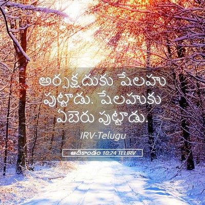 Picture 05 - ఆదికాండం 10:24 TELIRV - అర్పక్షదుకు షేలహు - Bible Verse Picture
