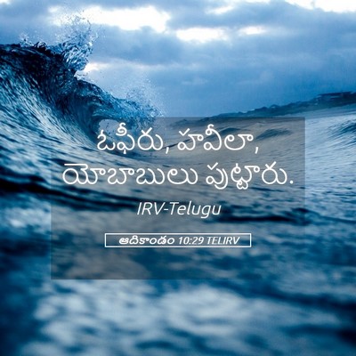 Picture 05 - ఆదికాండం 10:29 TELIRV - ఓఫీరు, హవీలా, - Bible Verse Picture