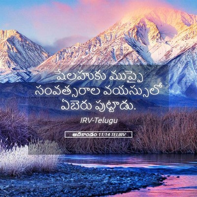 Picture 05 - ఆదికాండం 11:14 TELIRV - షేలహుకు ముప్ఫై - Bible Verse Picture
