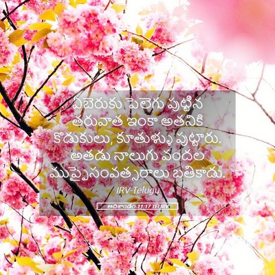 Picture 05 - ఆదికాండం 11:17 TELIRV - ఏబెరుకు పెలెగు - Bible Verse Picture