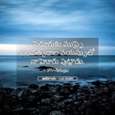 Picture 05 - ఆదికాండం 11:22 TELIRV - సెరూగుకు ముప్ఫై - Bible Verse Picture