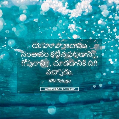 Picture 05 - ఆదికాండం 11:5 TELIRV - యెహోవా ఆదాము - Bible Verse Picture