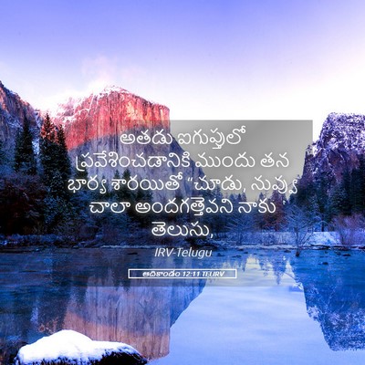 Picture 05 - ఆదికాండం 12:11 TELIRV - అతడు ఐగుప్తులో - Bible Verse Picture
