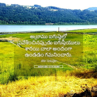 Picture 05 - ఆదికాండం 12:14 TELIRV - అబ్రాము ఐగుప్తులో - Bible Verse Picture