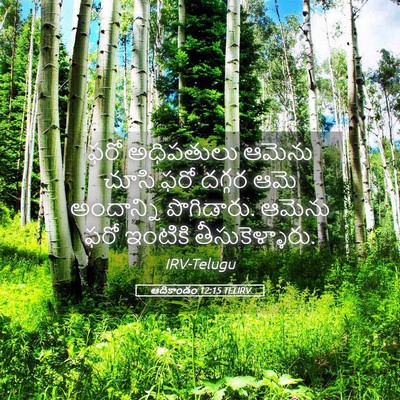 Picture 05 - ఆదికాండం 12:15 TELIRV - ఫరో అధిపతులు - Bible Verse Picture