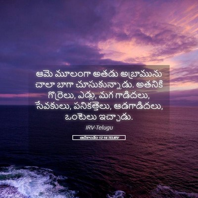 Picture 05 - ఆదికాండం 12:16 TELIRV - ఆమె మూలంగా అతడు - Bible Verse Picture