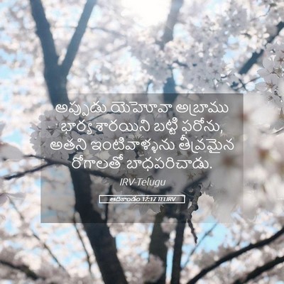 Picture 05 - ఆదికాండం 12:17 TELIRV - అప్పుడు యెహోవా - Bible Verse Picture