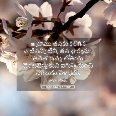 Picture 05 - ఆదికాండం 13:1 TELIRV - అబ్రాము తనకు - Bible Verse Picture