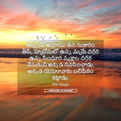 Picture 05 - ఆదికాండం 13:18 TELIRV - అప్పుడు అబ్రాము - Bible Verse Picture