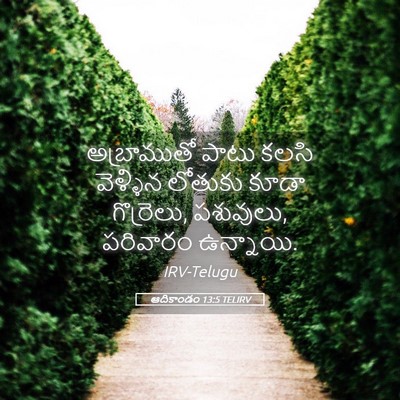Picture 05 - ఆదికాండం 13:5 TELIRV - అబ్రాముతో పాటు - Bible Verse Picture