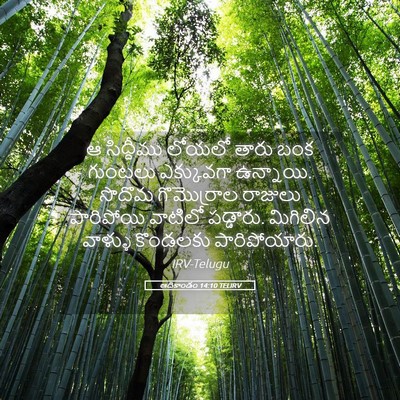 Picture 05 - ఆదికాండం 14:10 TELIRV - ఆ సిద్దీము లోయలో - Bible Verse Picture