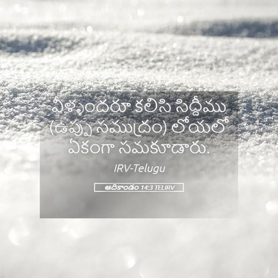 Picture 05 - ఆదికాండం 14:3 TELIRV - వీళ్ళందరూ కలిసి - Bible Verse Picture