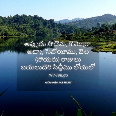 Picture 05 - ఆదికాండం 14:8 TELIRV - అప్పుడు సొదొమ, - Bible Verse Picture