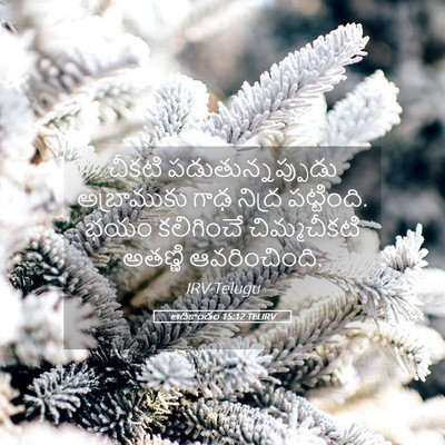 Picture 05 - ఆదికాండం 15:12 TELIRV - చీకటి - Bible Verse Picture