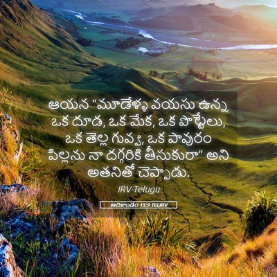 Picture 05 - ఆదికాండం 15:9 TELIRV - ఆయన “మూడేళ్ళ వయసు - Bible Verse Picture