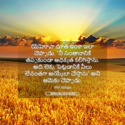 Picture 05 - ఆదికాండం 16:10 TELIRV - యెహోవా దూత ఇంకా - Bible Verse Picture
