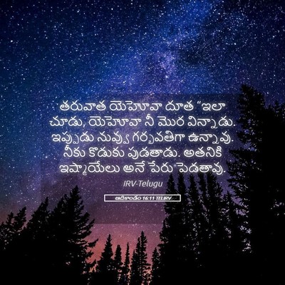 Picture 05 - ఆదికాండం 16:11 TELIRV - తరువాత యెహోవా దూత - Bible Verse Picture