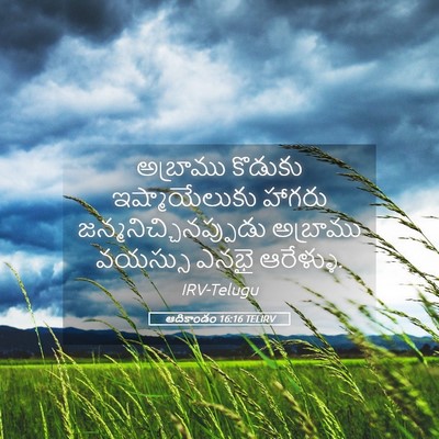 Picture 05 - ఆదికాండం 16:16 TELIRV - అబ్రాము కొడుకు - Bible Verse Picture