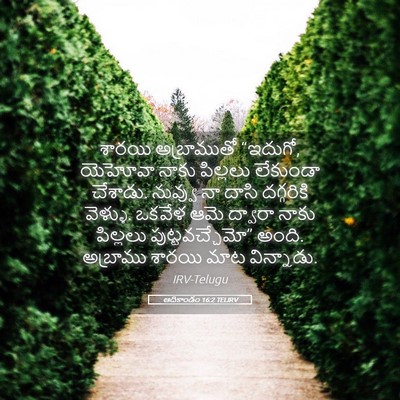 Picture 05 - ఆదికాండం 16:2 TELIRV - శారయి అబ్రాముతో - Bible Verse Picture