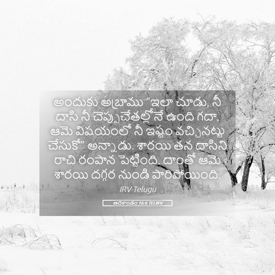 Picture 05 - ఆదికాండం 16:6 TELIRV - అందుకు అబ్రాము - Bible Verse Picture