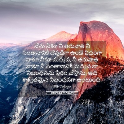 Picture 05 - ఆదికాండం 17:7 TELIRV - నేను నీకూ నీ - Bible Verse Picture