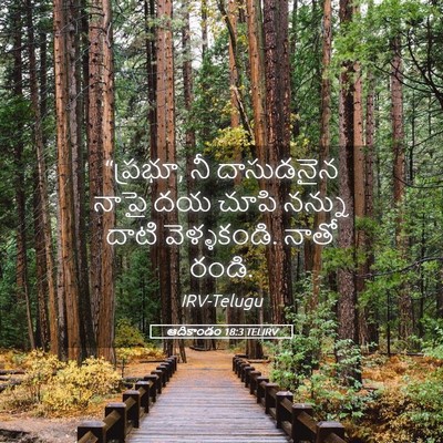Picture 05 - ఆదికాండం 18:3 TELIRV - “ప్రభూ, నీ - Bible Verse Picture