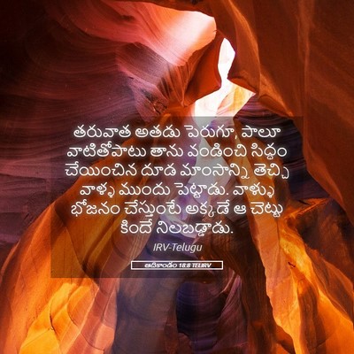 Picture 05 - ఆదికాండం 18:8 TELIRV - తరువాత అతడు - Bible Verse Picture