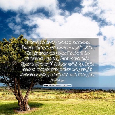 Picture 05 - ఆదికాండం 19:17 TELIRV - ఆ దూతలు వారిని - Bible Verse Picture