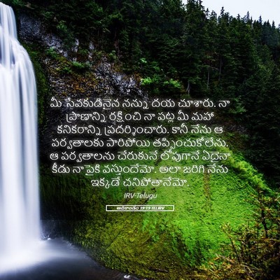Picture 05 - ఆదికాండం 19:19 TELIRV - మీ సేవకుడినైన - Bible Verse Picture