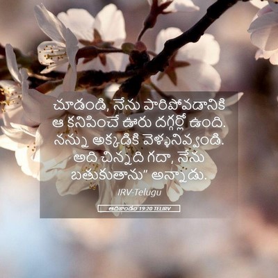Picture 05 - ఆదికాండం 19:20 TELIRV - చూడండి, నేను - Bible Verse Picture