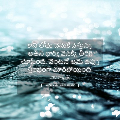 Picture 05 - ఆదికాండం 19:26 TELIRV - కానీ లోతు వెనుకే - Bible Verse Picture