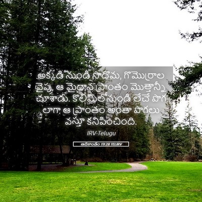 Picture 05 - ఆదికాండం 19:28 TELIRV - అక్కడి నుండి - Bible Verse Picture