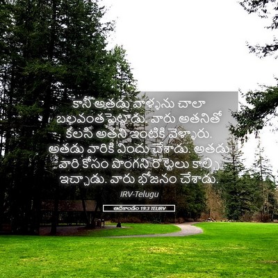 Picture 05 - ఆదికాండం 19:3 TELIRV - కానీ అతడు వాళ్ళను - Bible Verse Picture