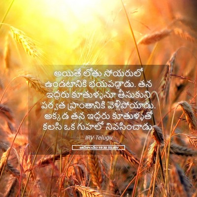 Picture 05 - ఆదికాండం 19:30 TELIRV - అయితే లోతు - Bible Verse Picture
