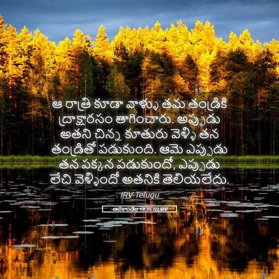 Picture 05 - ఆదికాండం 19:35 TELIRV - ఆ రాత్రి కూడా - Bible Verse Picture