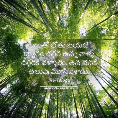 Picture 05 - ఆదికాండం 19:6 TELIRV - దాంతో లోతు బయటి - Bible Verse Picture