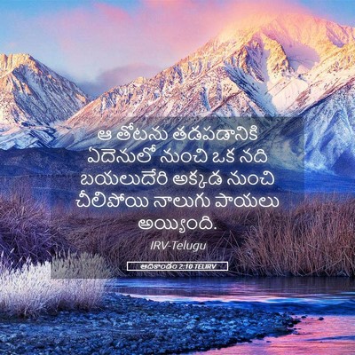 Picture 05 - ఆదికాండం 2:10 TELIRV - ఆ తోటను తడపడానికి - Bible Verse Picture