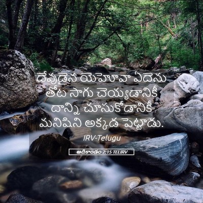 Picture 05 - ఆదికాండం 2:15 TELIRV - దేవుడైన యెహోవా - Bible Verse Picture