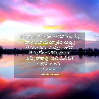 Picture 05 - ఆదికాండం 2:17 TELIRV - కాని, మంచి చెడ్డల - Bible Verse Picture