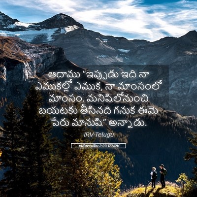 Picture 05 - ఆదికాండం 2:23 TELIRV - ఆదాము “ఇప్పుడు - Bible Verse Picture