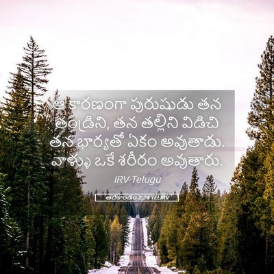 Picture 05 - ఆదికాండం 2:24 TELIRV - ఆ కారణంగా - Bible Verse Picture