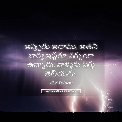 Picture 05 - ఆదికాండం 2:25 TELIRV - అప్పుడు ఆదాము, - Bible Verse Picture